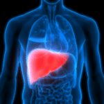 Hepatic Care Support Protocol